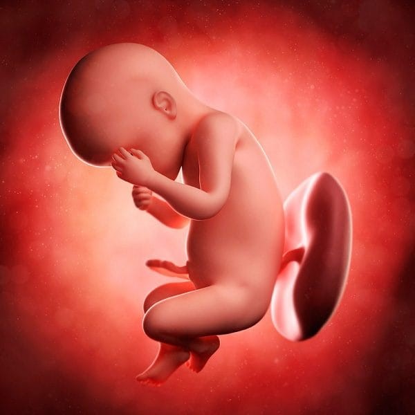 ah3 hưởng của nhau bám mặt trước