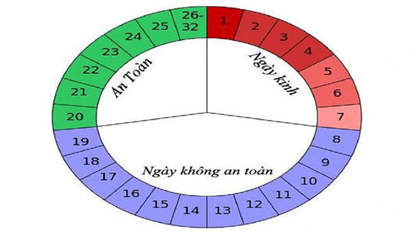 Bạn có thể tính ngày rụng trứng thông qua chu kì kinh nguyệt nếu chịu khó theo dõi kì kinh