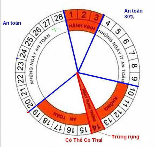 Chu kỳ rụng trứng