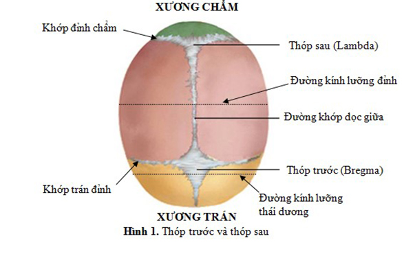 Đường knih1 lưỡng đỉnh