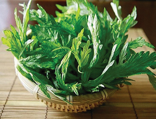 Ngãi cứu