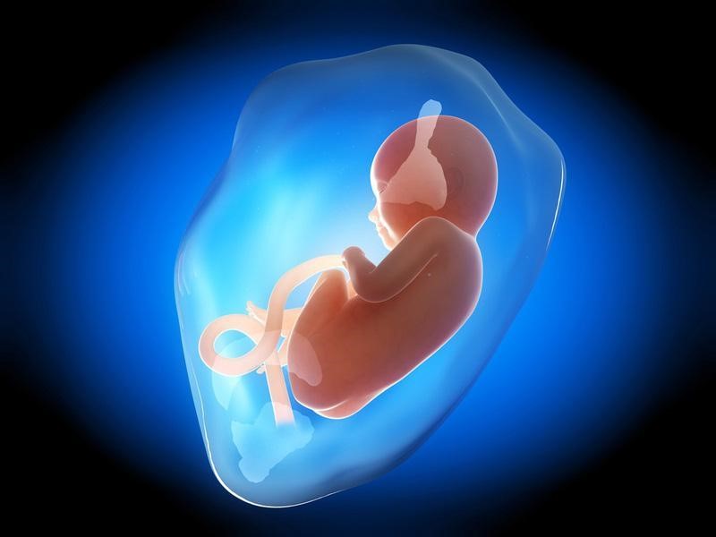nuoc-oi1-1 Vai trò của nước ối