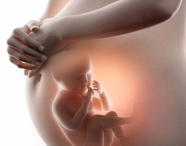 Thai nhi có thể làm nên rất nhiều động tác khi ở trong bụng mẹ