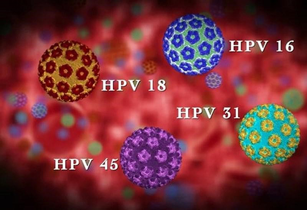 virus-hpv Virus HPV